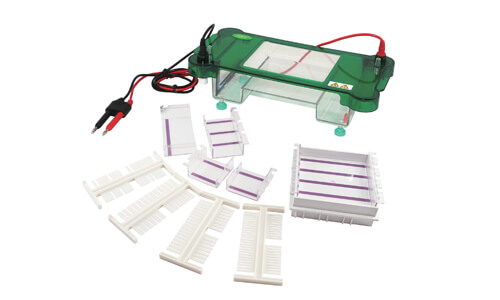 Warranty, Expected Lifespan, and Replacement Plan for the YR03417 Electrophoresis Unit