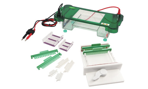 Warranty, Expected Lifespan, and Replacement Plan for the YR03419 Electrophoresis Unit