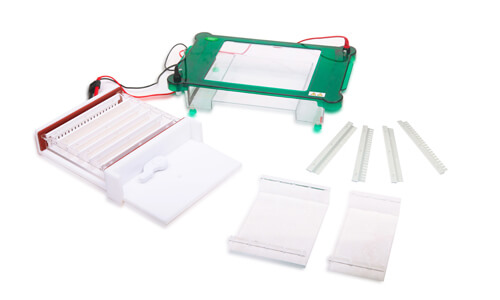 Horizontal Electrophoresis YR03420: A Comprehensive Guide