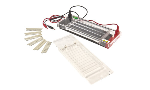 Interpreting Results and Reading Measurements with the YR03422 Electrophoresis Unit