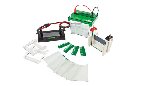 How to Integrate Vertical Electrophoresis with LIMS for Efficient Data Flow?