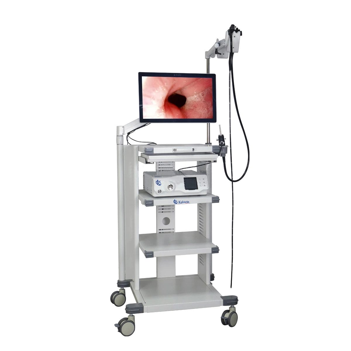 High Definition Veterinary Video Endoscope YR06147: Technical Performance and Safety