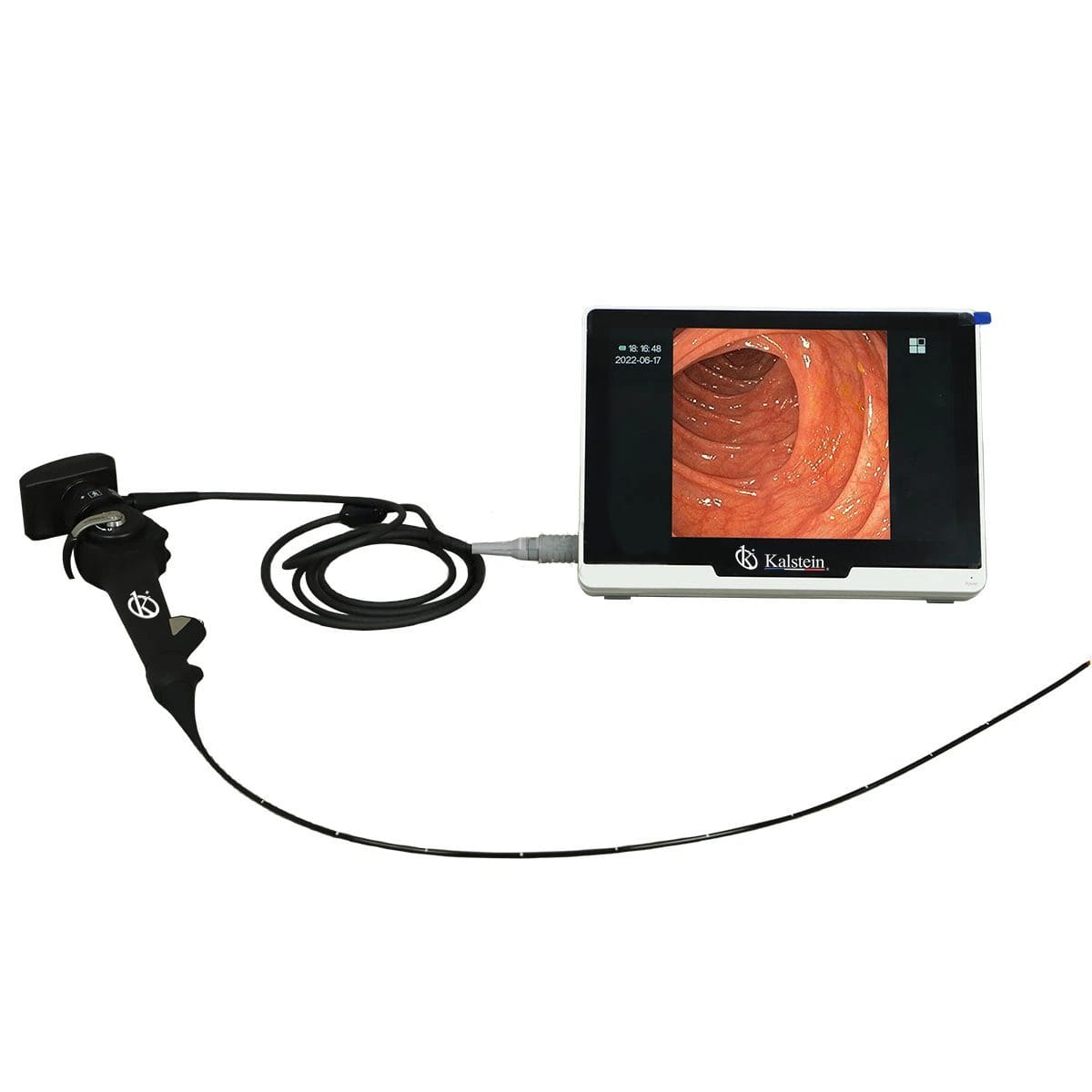 Portable Veterinary Video Endoscope YR06152: Enhancing Operational Efficiency