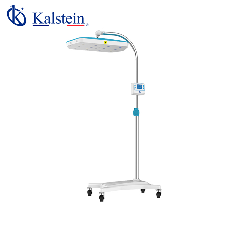 Technical Glossary and Key Terminology for the YR06220 Infant Phototherapy Unit
