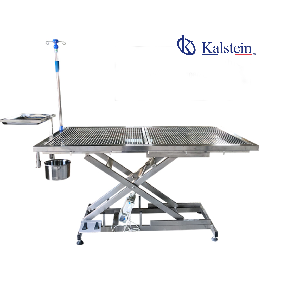 Electric Veterinary Operating Table YR06598: Specifications Comparison and Overview
