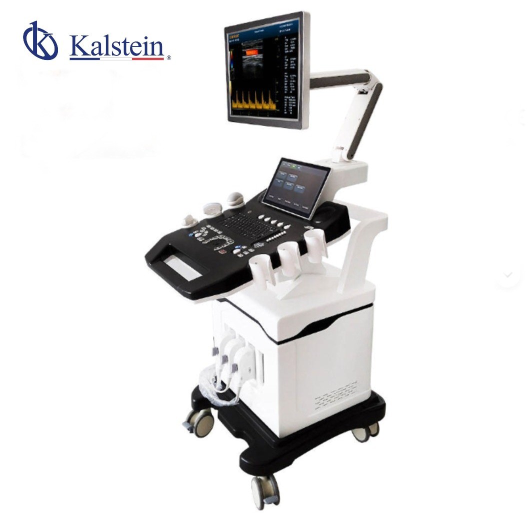 High-End 3D/4D Color Doppler Ultrasound Scanner YR06635: A Comprehensive Overview