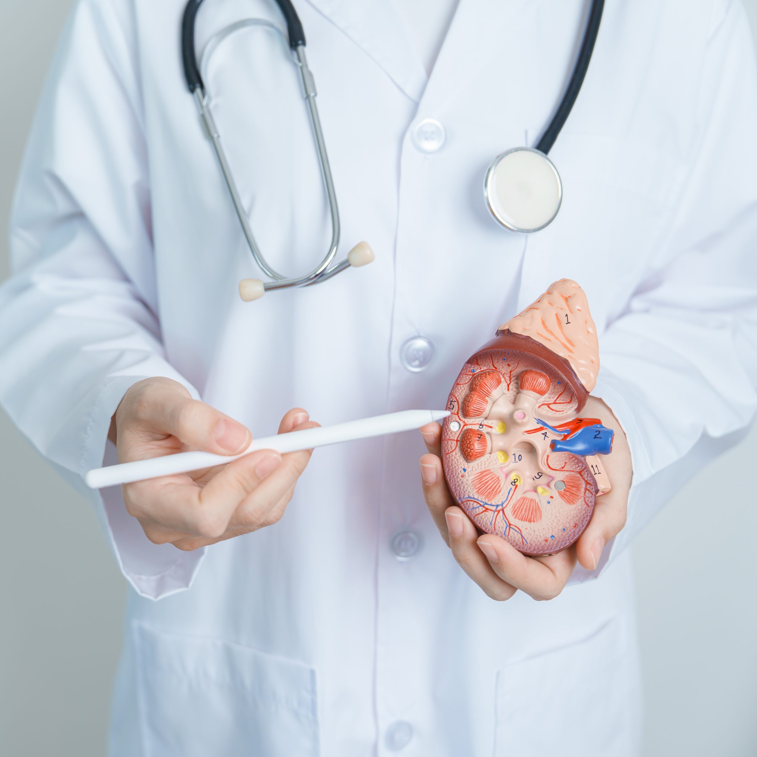 Fundamentals of Laser Urology