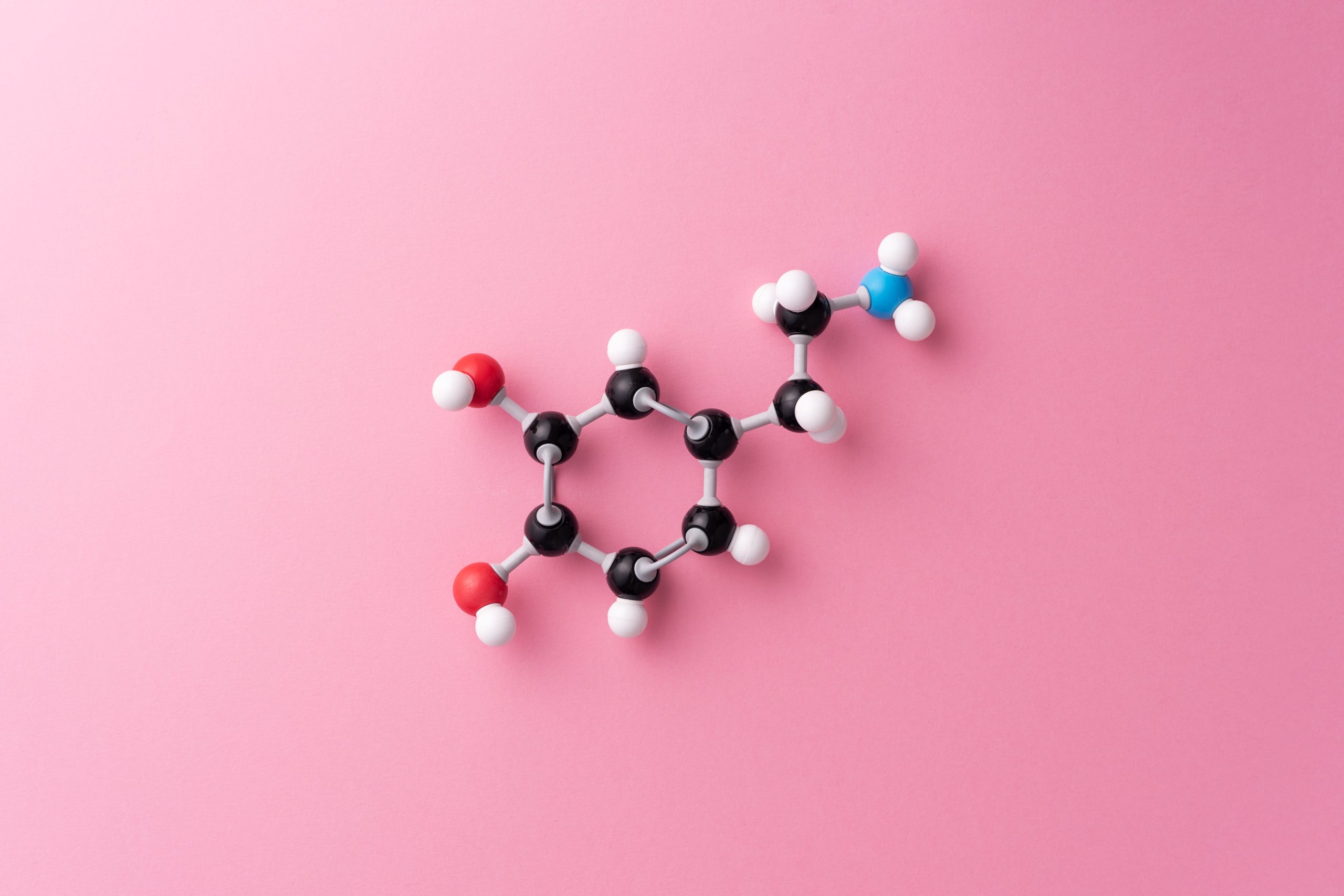 Dopamine modulates the reward caused by music