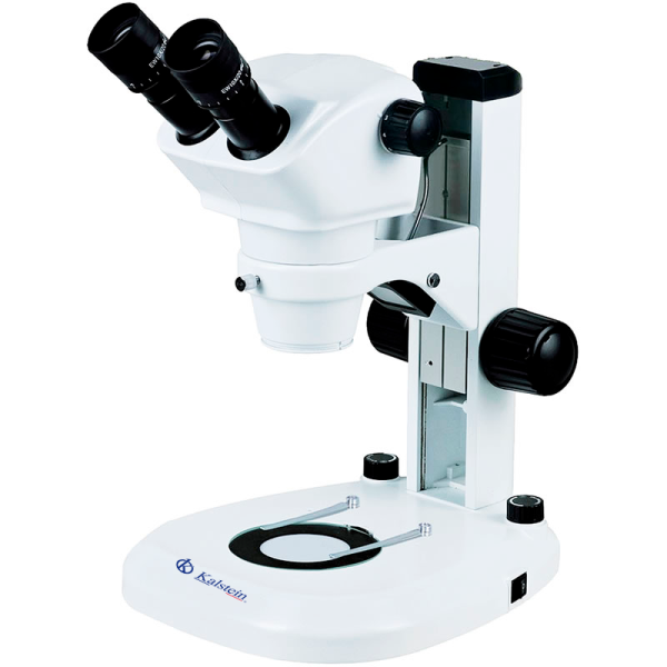 How to remove fungi from our microscopes?