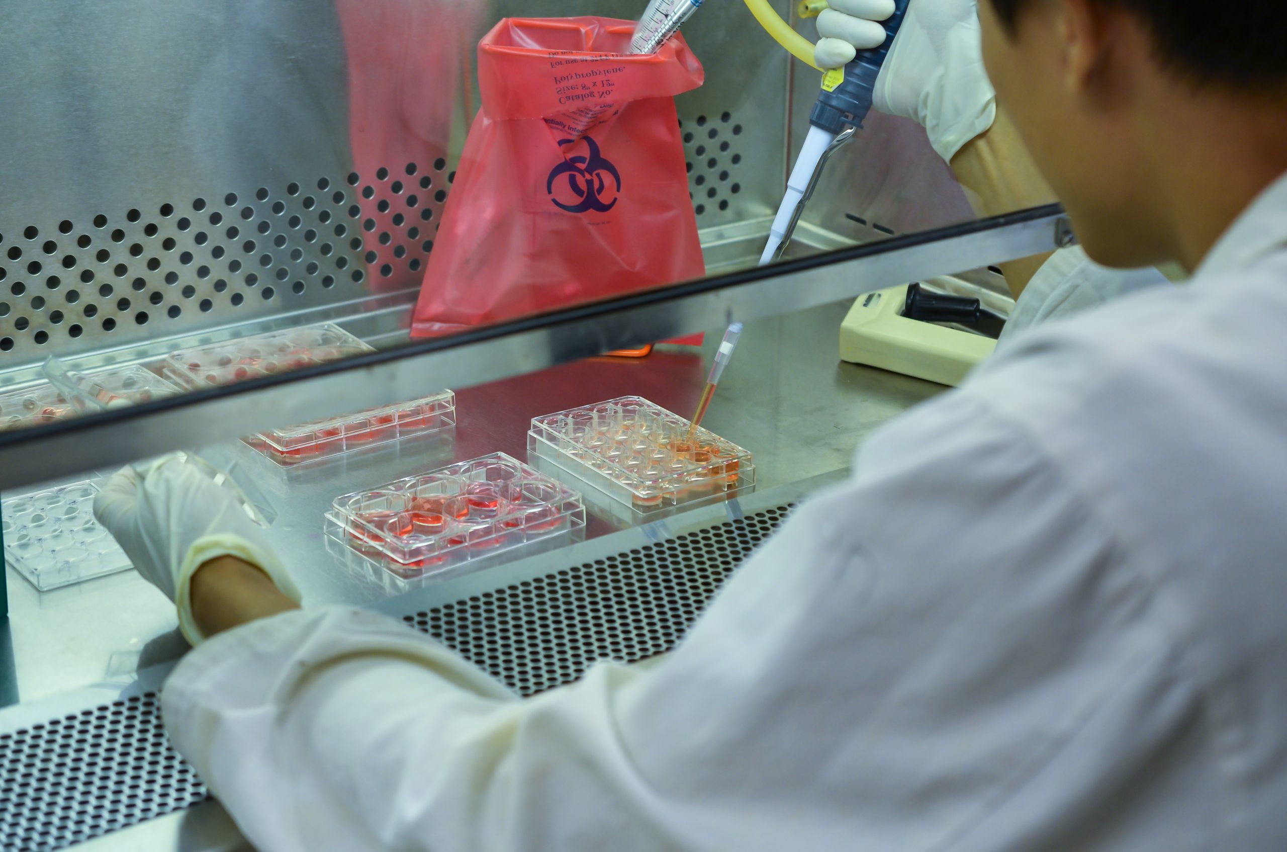 What Biosecurity cabinet choose to work with COVID-19?