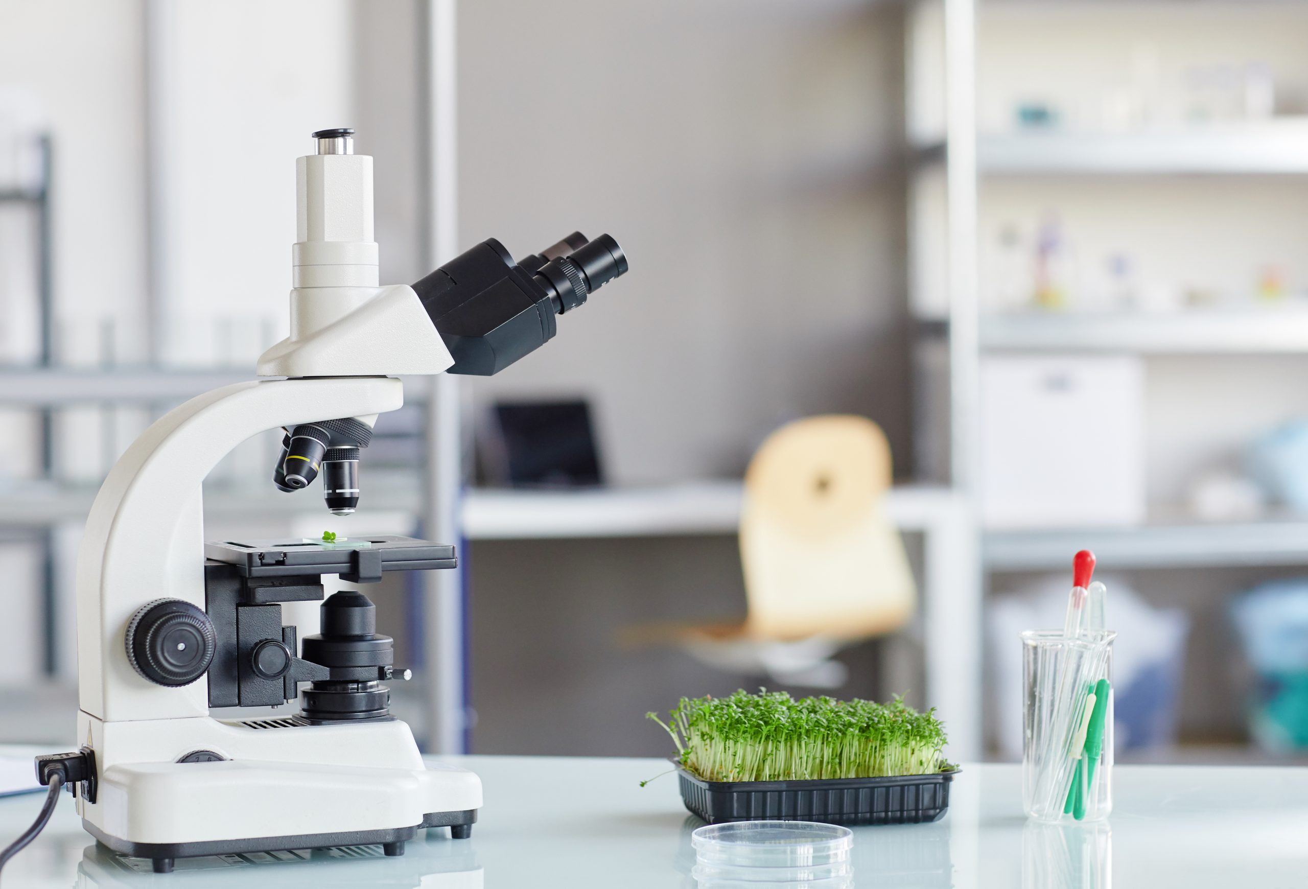 What is an Ecological Microscope?