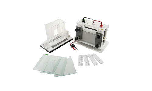 How does electrophoresis work molecularly?