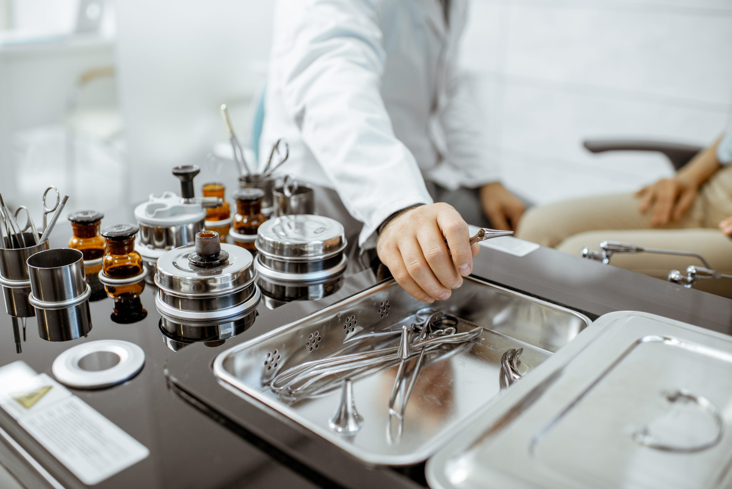 What are the Sterilization Systems offered by the Bacticinerator?
