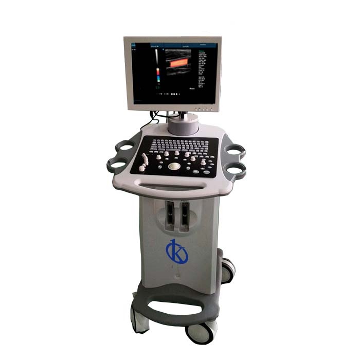 Portable Ultrasound Scanners: Real-Time Diagnostic Imaging