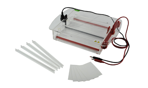 What are the advantages of Electrophoresis in Food?