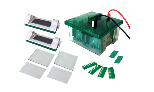 What Technological Advances Have Made Possible the Use of Electrophoresis in Laboratories?