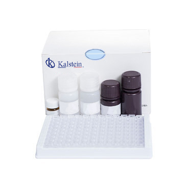 Clinical Chemical Reagents: A Scientific Breakthrough for High-Precision Testing