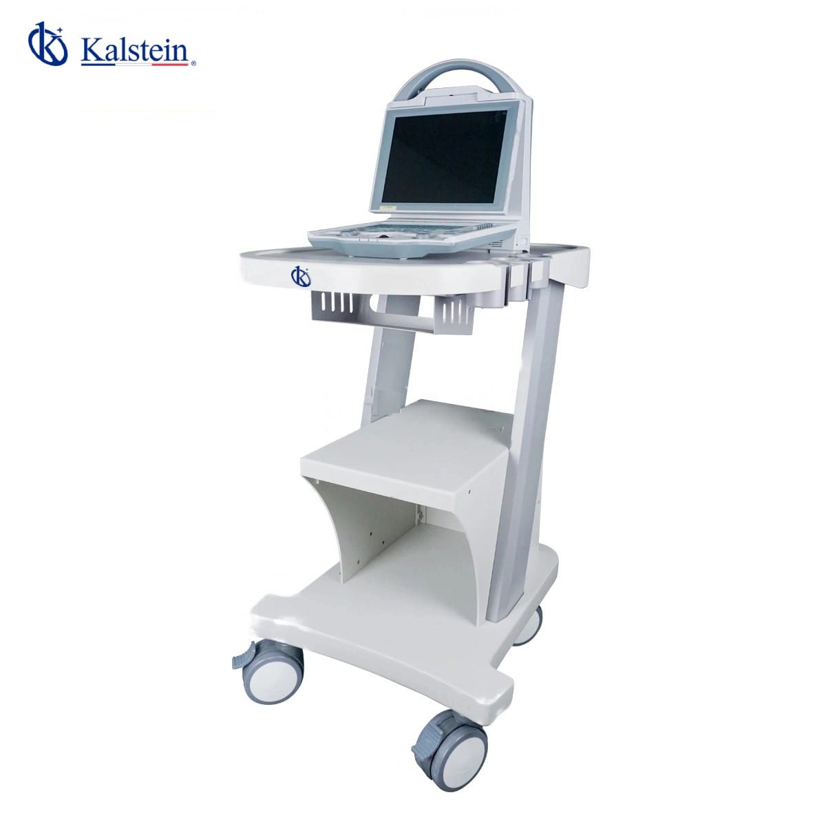 Discover the Innovation of Veterinary Ultrasounds: Advanced Solutions for Animal Health