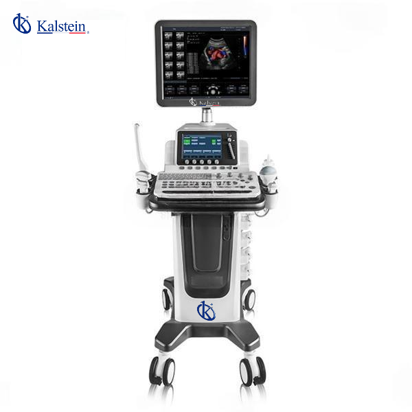 High-Definition Veterinary Ultrasound for Non-Invasive Diagnoses