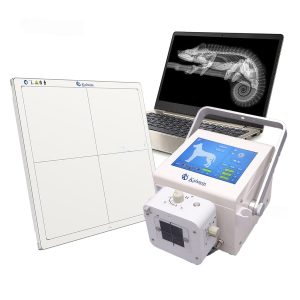 Recommendations for the Use of Mobile Digital X-Ray Equipment for Equines in Veterinary Medicine