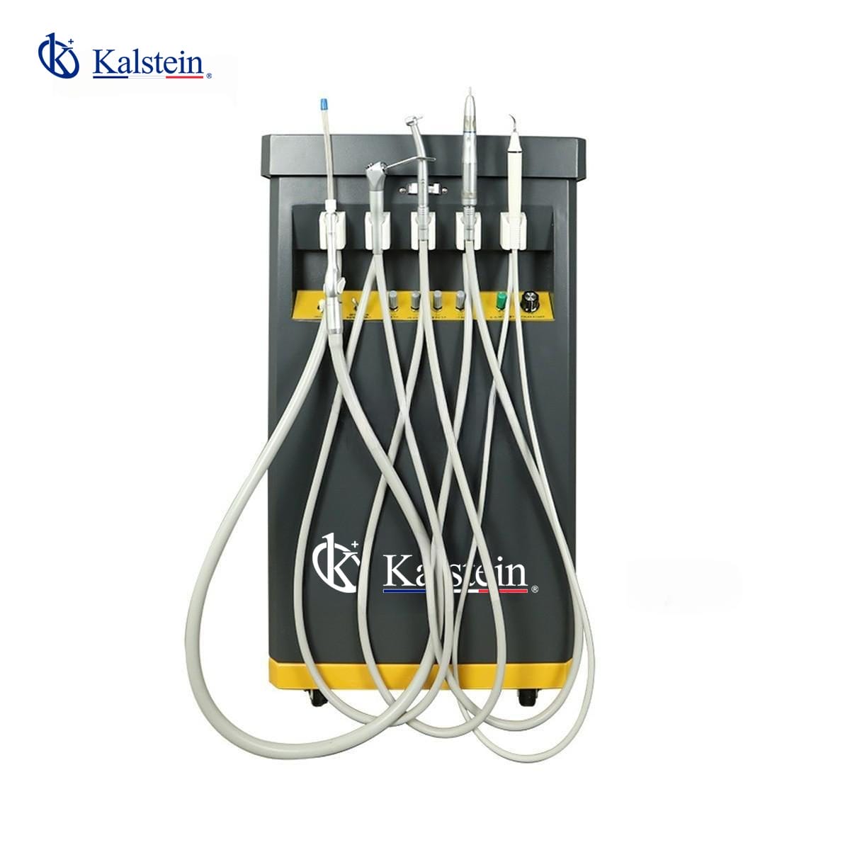 Transform your animals' dental health with the Kalstein Veterinary Dental Unit