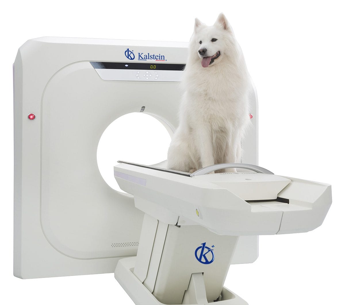 Revolutionizing Veterinary Imaging: The Role of Veterinary CT Scanners