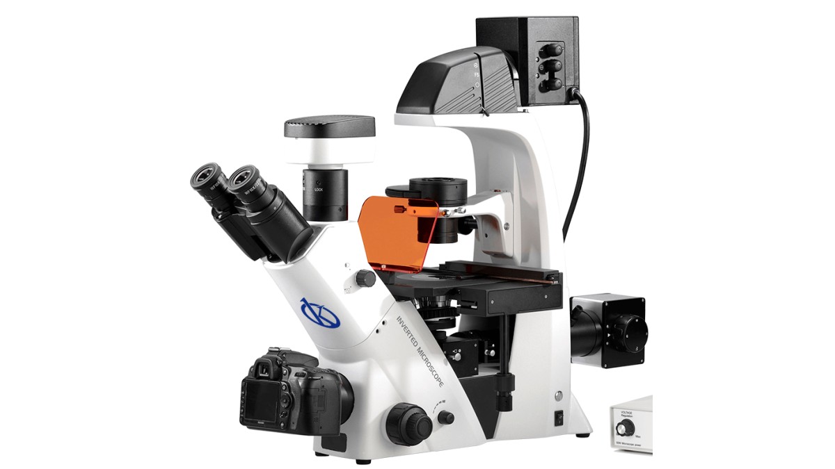 Fluorescent LED Inverted Microscope YR05791: Technical Performance and Security